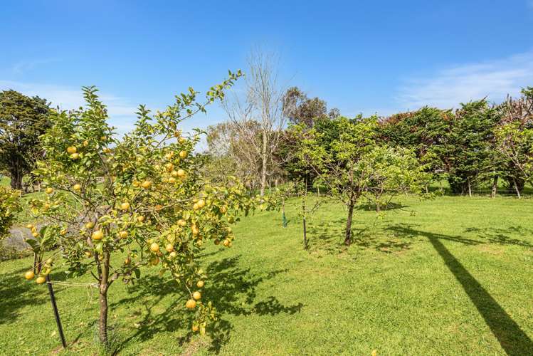 65 Main Road Kauri_20