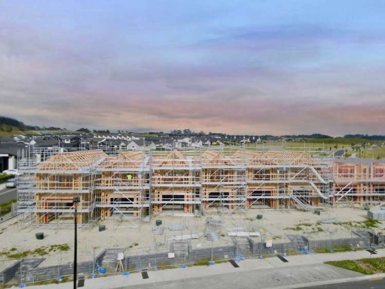 74 Dendro Ring Road_0