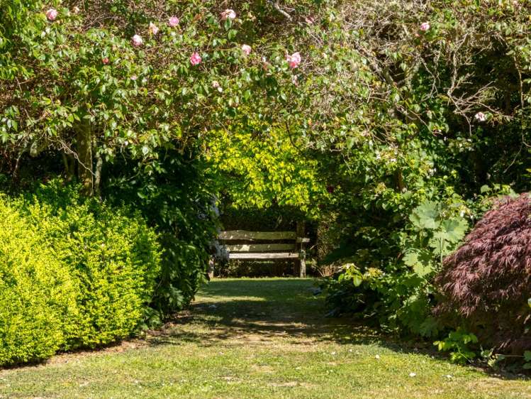 227b Whitemans Valley Road Whitemans Valley_3