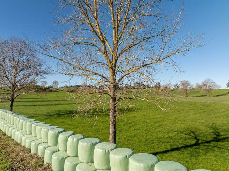 819 Waikokowai Road Ruawaro_19