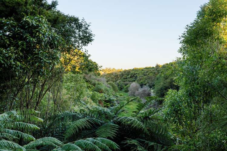 5 Vereker Court Rototuna_6