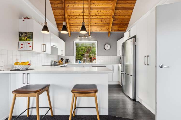 183A Scott Street Waverley_9