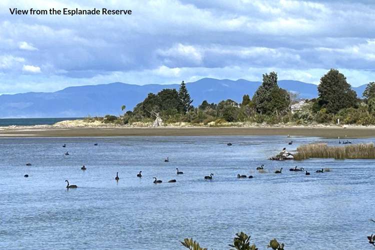 1238 Collingwood-Puponga Main Road Collingwood_20