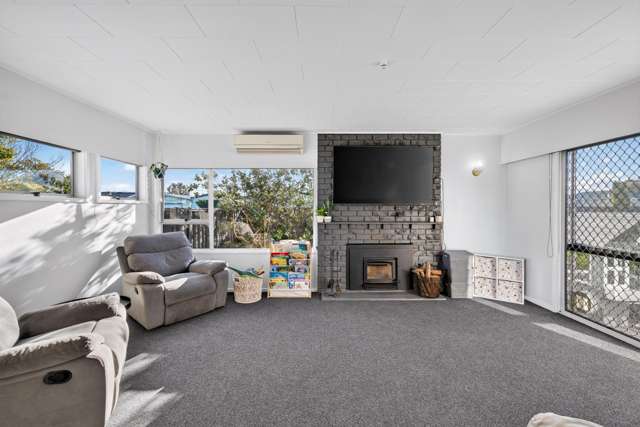 1 Arney Street Tamatea_3