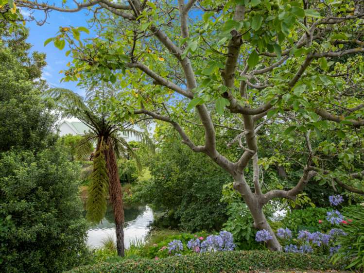 34 Shirtliff Street Riversdale_17