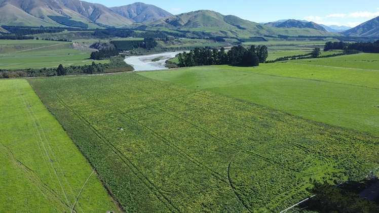 108 Klondyke Terrace Mayfield_7