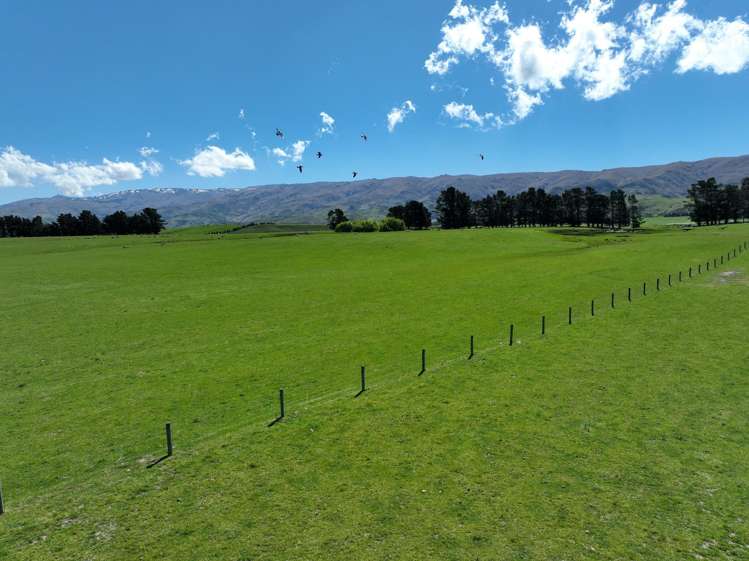 Wallington Road Omakau_26