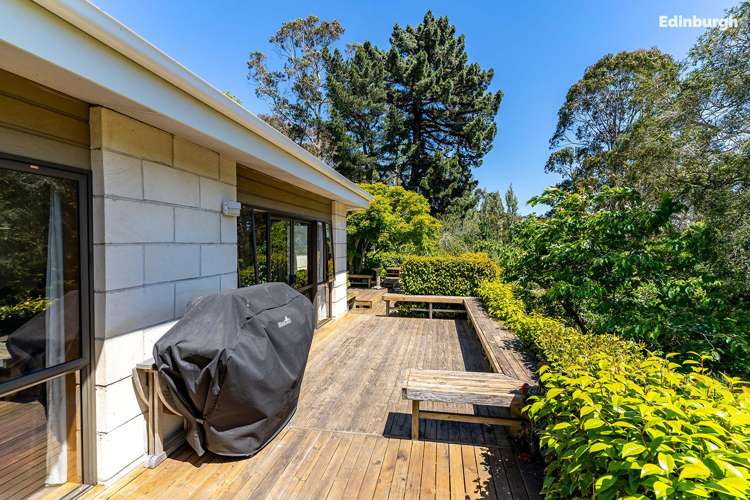 1 Leyden Terrace Andersons Bay_34