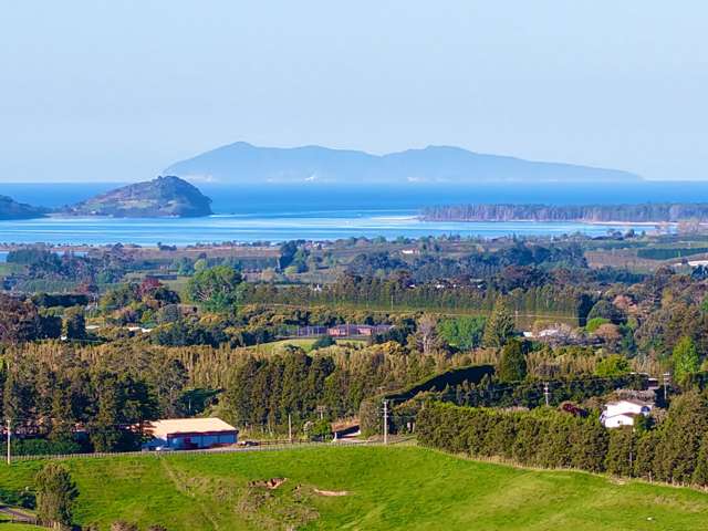 74B Willoughby Road Katikati_1