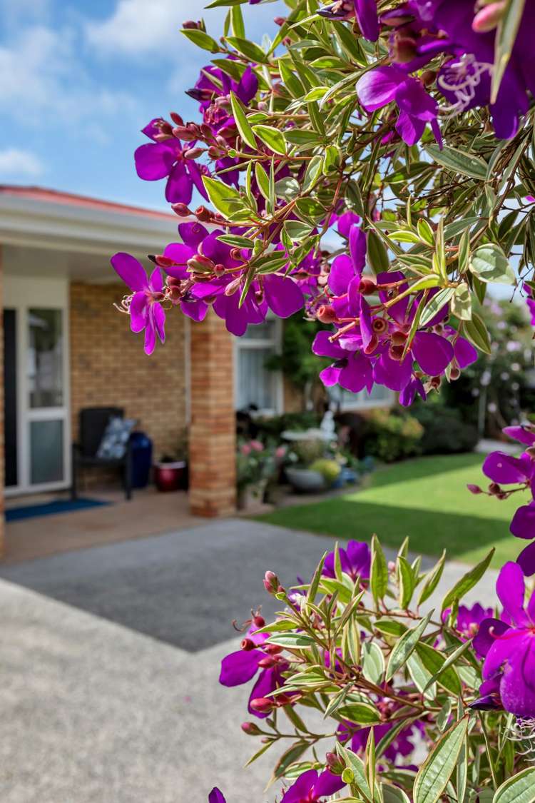 4B Arthur Street Kensington_22