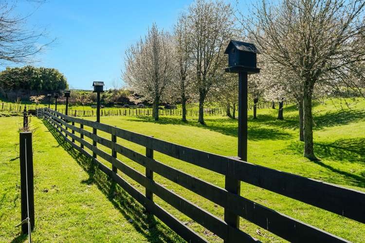 396 Tukairangi Road Nukuhau_15