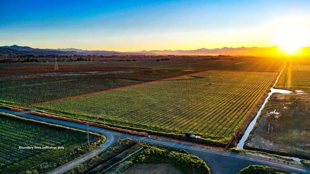 Solid Lower Wairau Sauvignon Blanc vineyard