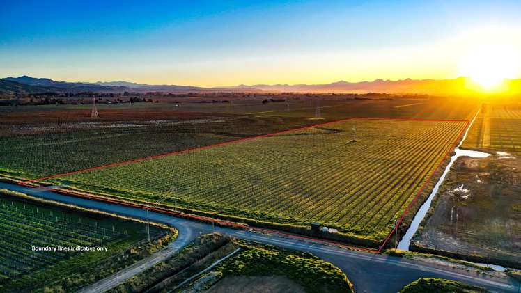 91 Eckfords Road Blenheim_0