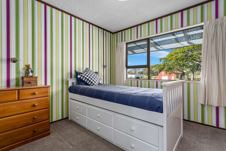 1255 Braemar Road Rotoma_10