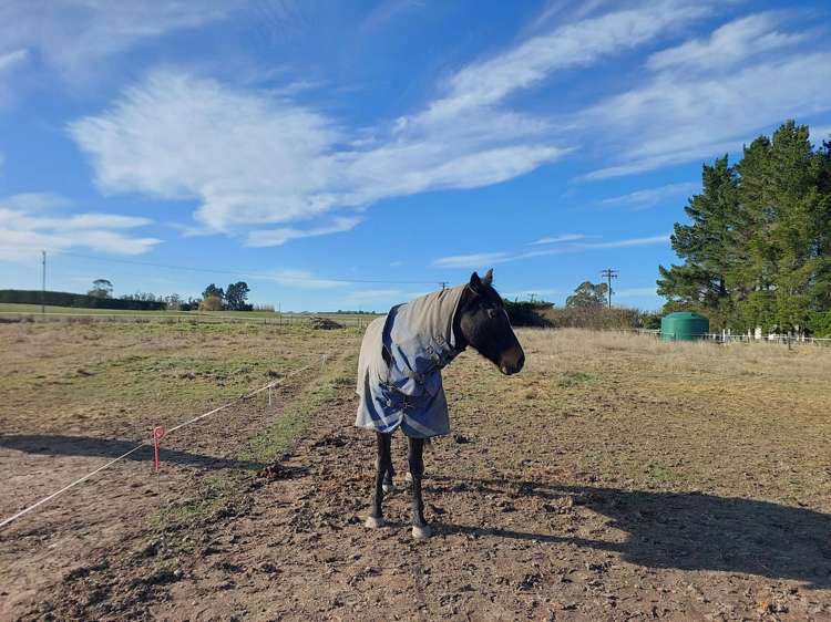 8 Minnie Street Waimate_14