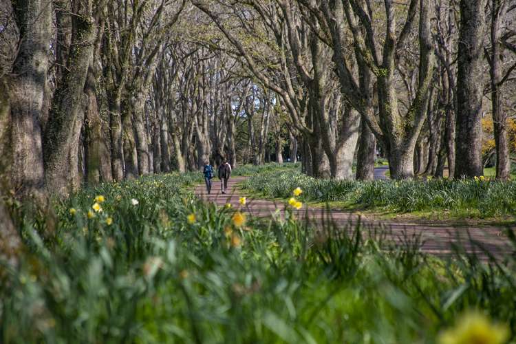 2/44 Turama Road Royal Oak_13