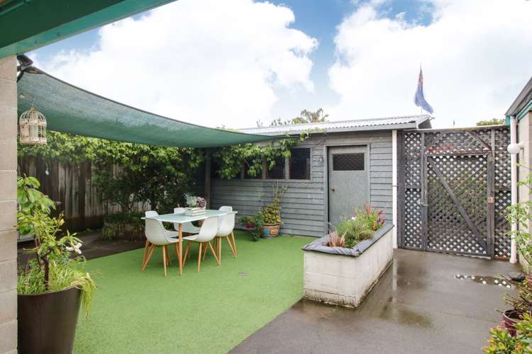 2/6 Sanders Avenue Marewa_17