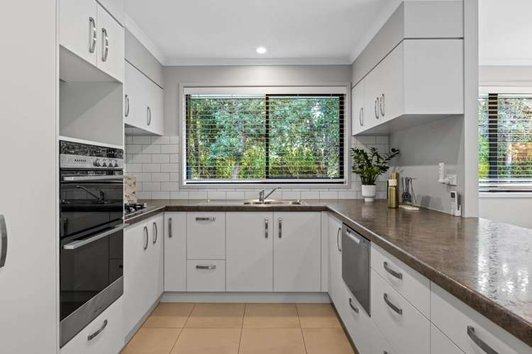 208b Glenmore Road Coatesville_11