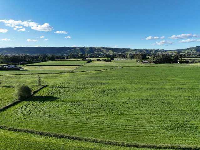 101 Dukes Road Mosgiel_4