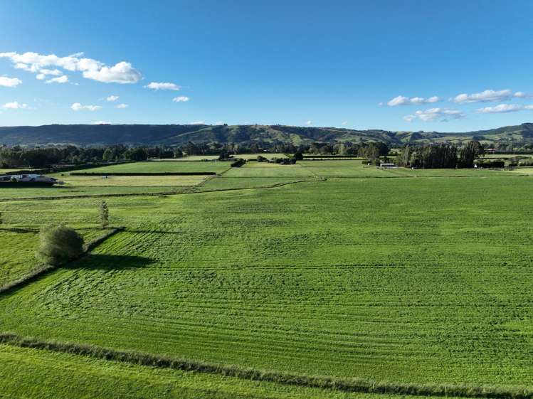 101 Dukes Road Mosgiel_4