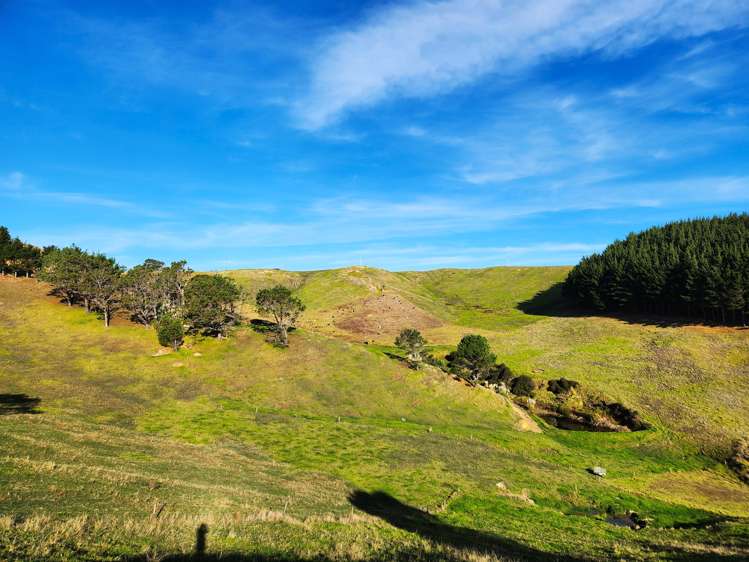 Babylon Coast Road Dargaville_17