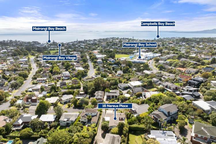16 Nereus Place Mairangi Bay_26