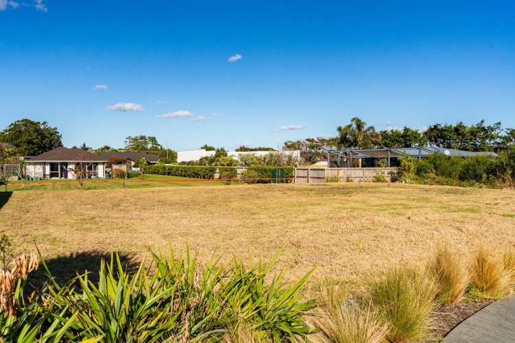 39 William Gilbert Drive Mangawhai_5