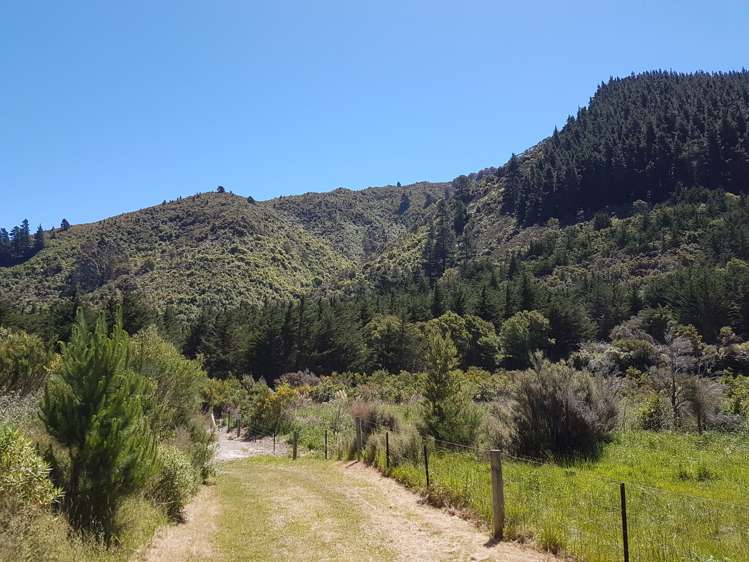 946 Mangatarere Valley Road Carterton_11