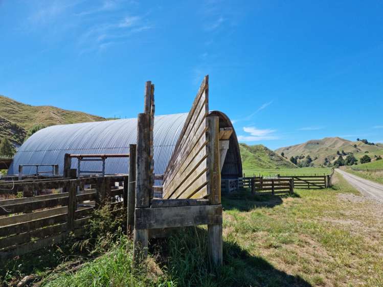 3779 Whanganui River Road (State Highway 43) Ruapehu-King Country Surrounds_22