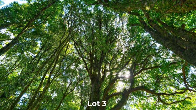 Lot 1 & 2/DP570510 Oturoa Road Hamurana_8