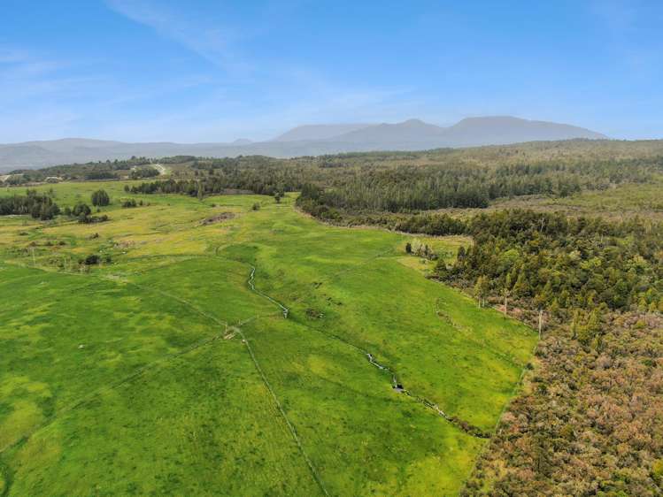 Lot 1 DP3404 Woodstock-Rimu Road Ruatapu_6