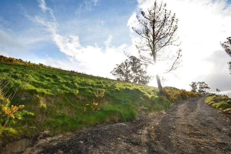 57 Koremata Street Green Island_5