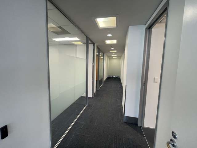 101 Carlton Gore Road Newmarket_4