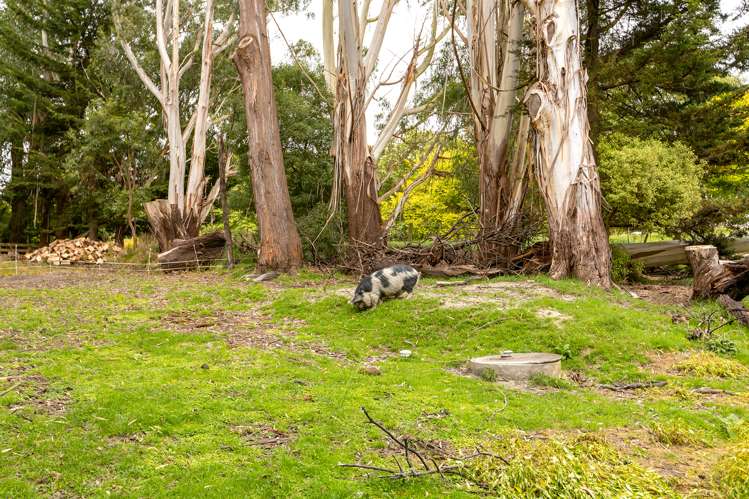 73 Castle Hill Road Eketahuna_17