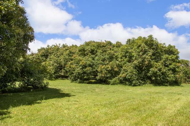 243A Wright Road Katikati_2