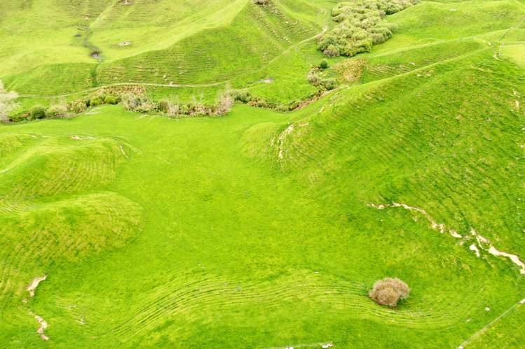 166 Airstrip Road Pikowai_30