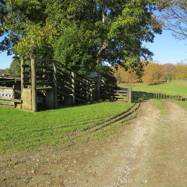 1370 State Highway 3 Te Kuiti_11