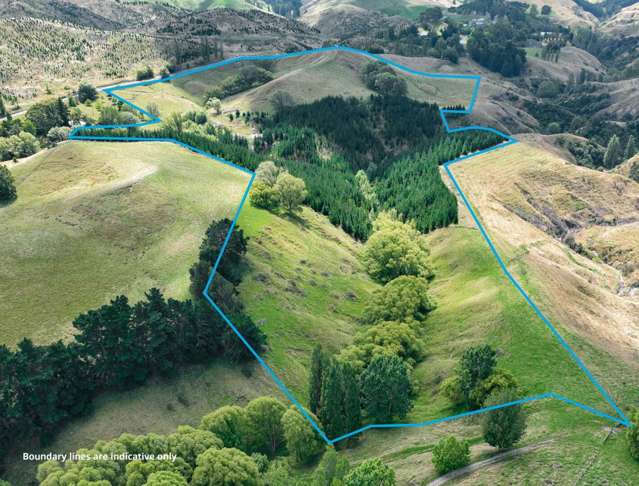 1601 Kahuranaki Road Havelock North_1