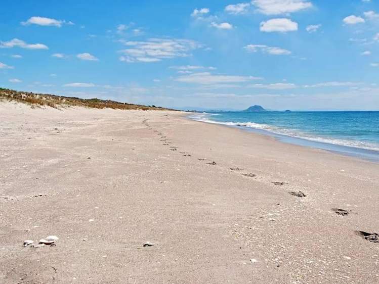 Address withheld Avenues_12