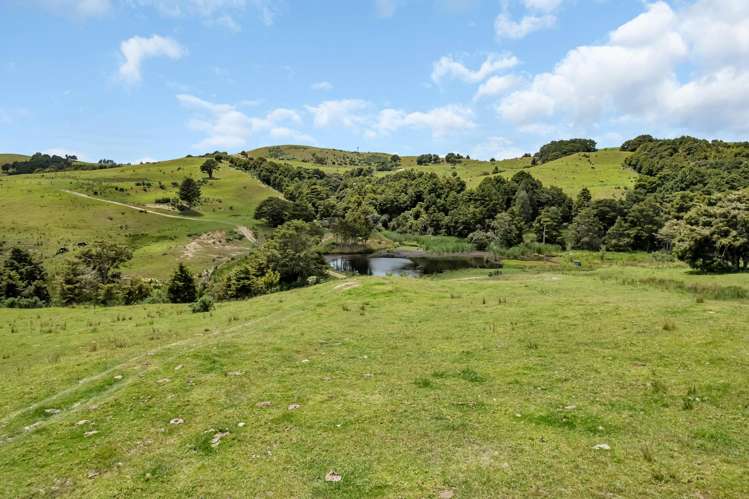 123 Homackey Road Matakohe_18