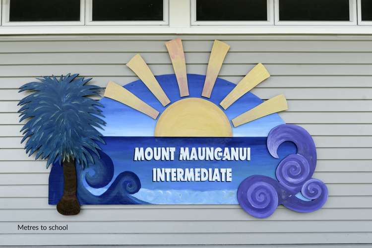 14 Lodge Avenue Mount Maunganui_18