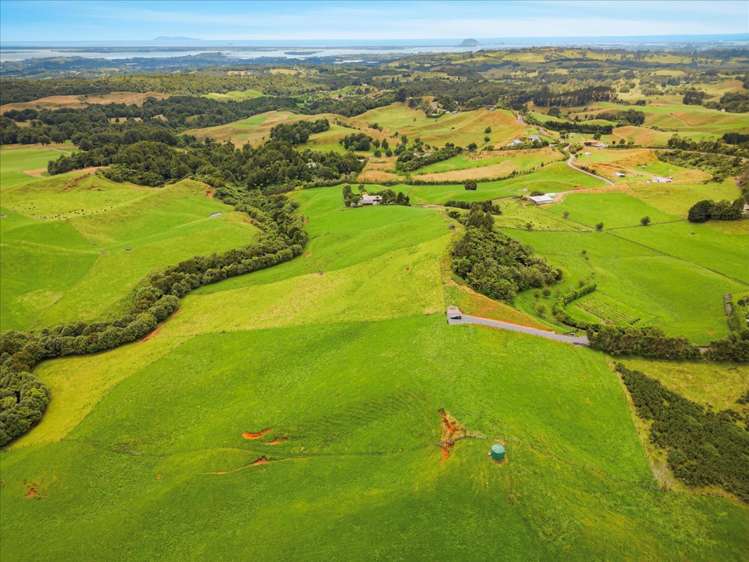 938C Whakamarama Road Whakamarama_10