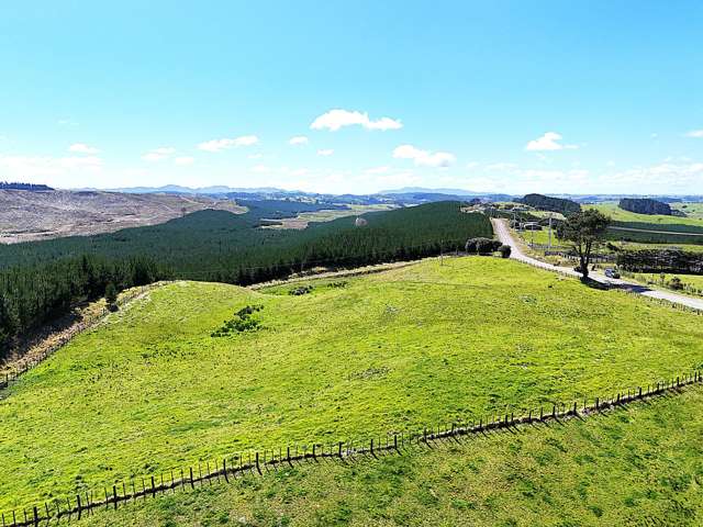 Developer Has Reduced Price - Now $299,000