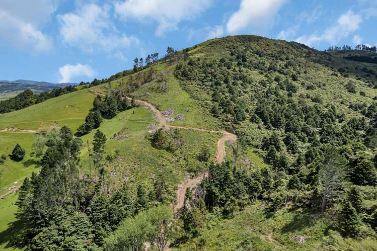 75 Parakiore Road Ngararatunua_9