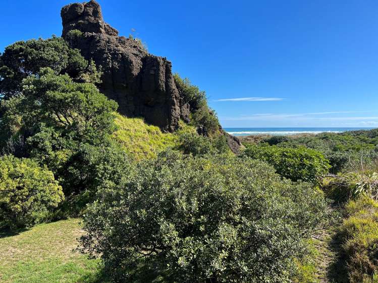 36 North Piha Road Piha_9