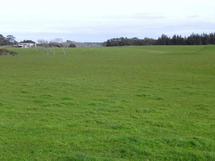 1433 State Highway 3 Turakina_6