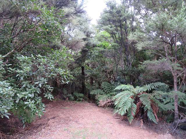 Lot 1 Dysart Rd Kaitaia_4