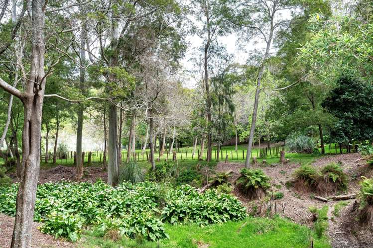 1793 Mohaka Coach Road Mohaka_20