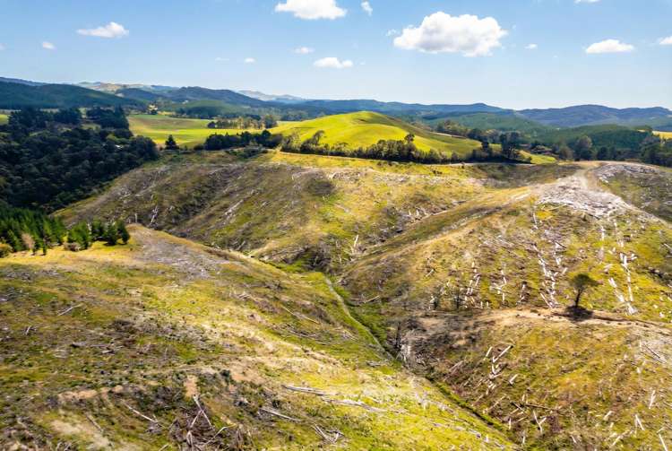 Lot 2 Kaiwhata Road Te Wharau_7