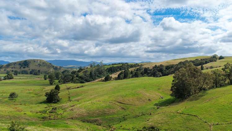 528 Monument Road Maramarua_17